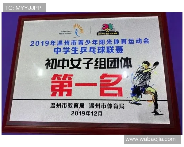 杭州乒乓球队团队协作表现的深度数据分析与研究探讨