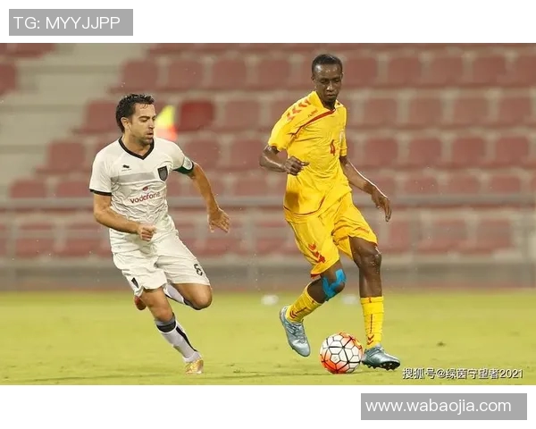 杭州篮球队在欧锦赛中的团队配合与战术执行分析