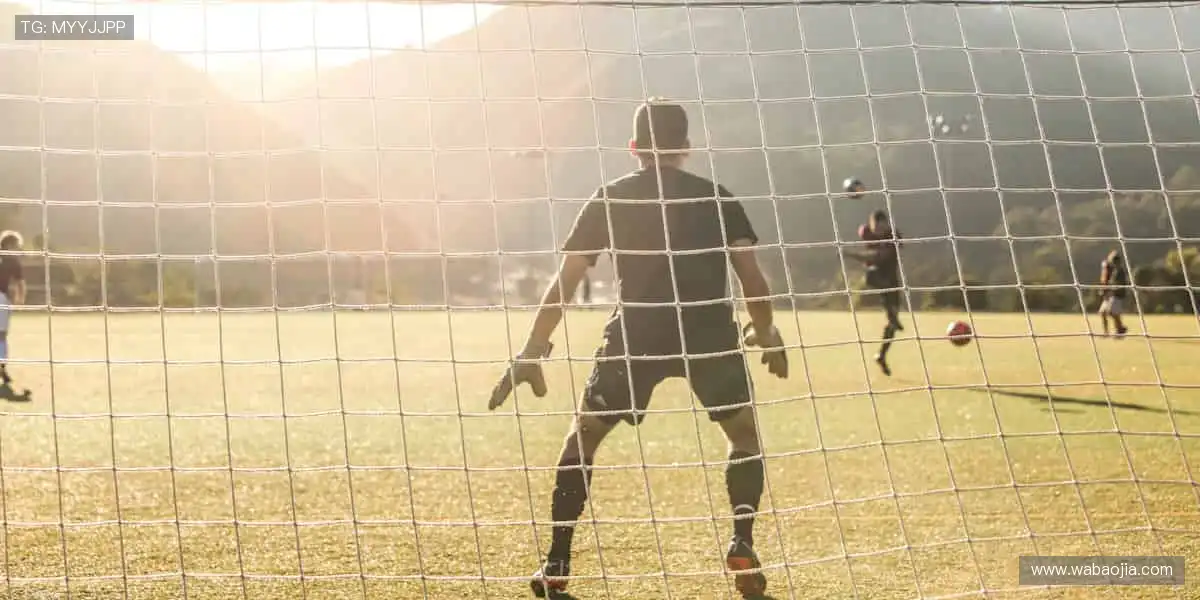 「运动装备黑科技,让你的每一步都更专业!🛡️点击选购,开启高效训练!」